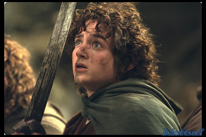 frodo2.jpg
